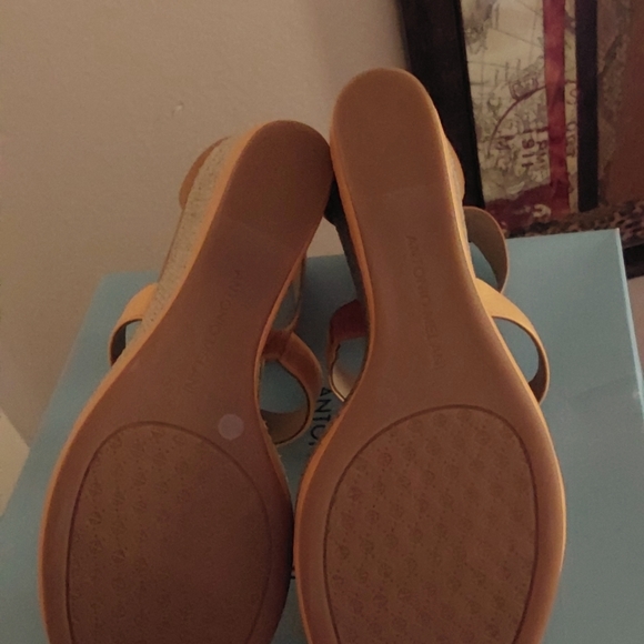 Wedges - Picture 4 of 5